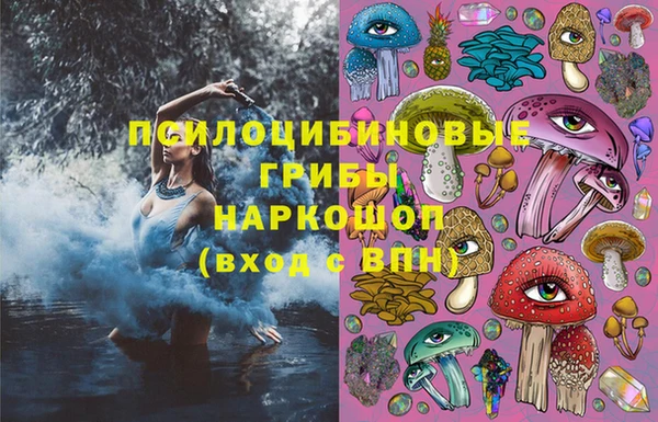 ГАЛЛЮЦИНОГЕННЫЕ ГРИБЫ Куйбышев