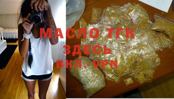 спиды Новодвинск