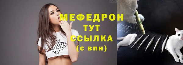 сатива Новокубанск