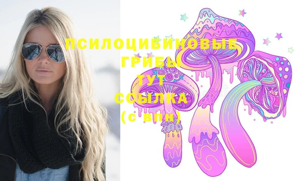 спиды Новодвинск