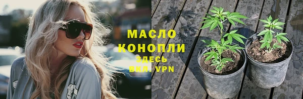 спиды Новодвинск