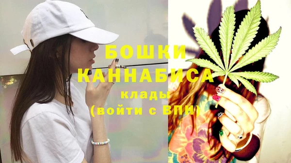 спиды Новодвинск