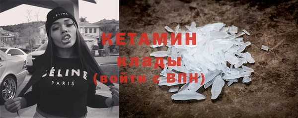 сатива Новокубанск