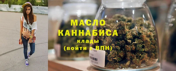 сатива Новокубанск