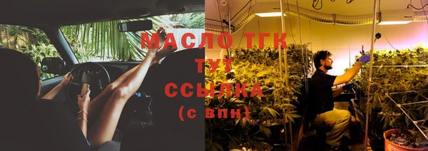 сатива Новокубанск