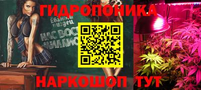 гидропоника Заводоуковск