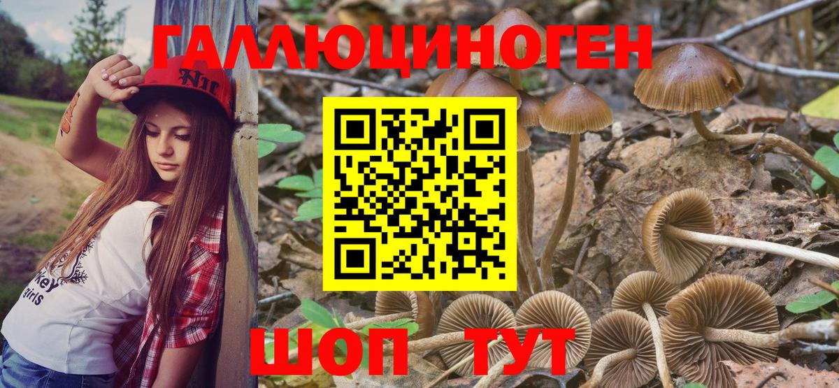 Псилоцибиновые грибы MAGIC MUSHROOMS  где можно купить   Краснотурьинск 
