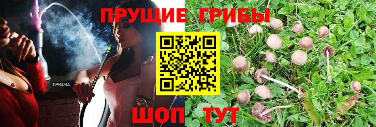 Псилоцибиновые грибы MAGIC MUSHROOMS Краснотурьинск